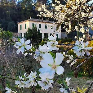 Sa Maniga Casa rural Bunyola (Buñola)